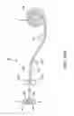 Fig. 04 - Method for preparing a filtration membrane and filtration membrane prepared by said method