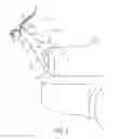 Fig. 02 - Strap-mounted stabilizer for a bicycle carrier