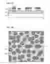 Fig. 02 - Silicon structure and manufacturing methods thereof and of capacitor including silicon structure