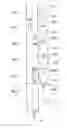 Fig. 01 - Emergency vehicle notification system