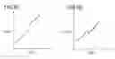 Fig. 04 - Digital to analog converter