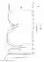 Fig. 05 - Apparatus for wireless communication comprising a loop like antenna