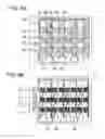Fig. 06 - Stereoscopic image display device using a barrier liquid crystal device
