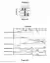 Fig. 04 - APPARATUS AND METHOD FOR SUPPORTING A MECHANICAL LAYER