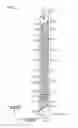 Fig. 03 - Liquid ejection apparatus and method for replacing humidification-liquid tank of the apparatus