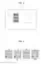 Fig. 04 - THREE-DIMENSIONAL MEASURING APPARATUS, THREE-DIMENSIONAL MEASURING METHOD, AND PROGRAM