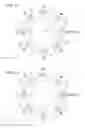 Fig. 08 - THREE-DIMENSIONAL MEASURING APPARATUS