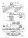 Fig. 02 - Stereoscopic images generated by adding content to alternate eye images for retinal rivalry