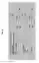 Fig. 28 - Optical beam control based on flexure actuation with positioning sensing and servo control