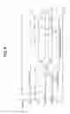 Fig. 07 - Semiconductor device having complementary bit line pair