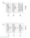 Fig. 08 - SRAM bit cell