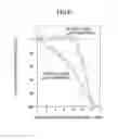 Fig. 07 - Method And Apparatus For Evaluating A Magnetic Recording Medium