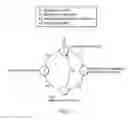 Fig. 03 - METHOD AND SYSTEM FOR PREVENTING TRAFFIC LOSS CAUSED BY WAIT-TO-RESTORE MECHANISMS IN SERVICE PROTECTION NETWORKS