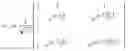 Fig. 05 - Transmission method and device for a downlink reference signal