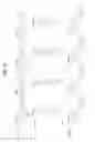 Fig. 11 - Transmission method and device for a downlink reference signal