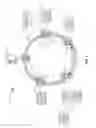 Fig. 02 - Multicast dual join for ring network topologies