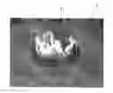 Fig. 01 - Flame identification method and device using image analyses in HSI color space