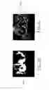 Fig. 05 - Flame identification method and device using image analyses in HSI color space