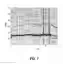Fig. 07 - Method and system for processing a signal including at least a component representative of a periodic phenomenon in a living being