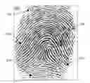 Fig. 01 - High-speed fingerprint feature identification system and method thereof according to triangle classifications