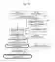 Fig. 13 - Medical image display processing method, device, and program