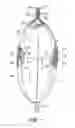 Fig. 02 - Container With mid-level closure and tear-off features