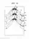 Fig. 11 - ARRAYED WAVEGUIDE GRATING TYPE OPTICAL MULTIPLEXER AND DEMULTIPLEXER