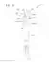 Fig. 18 - Support for a Plurality of Hand-Held Instruments