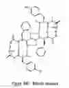 Fig. 02 - POLYMER CONJUGATES OF BIPHALIN PEPTIDES