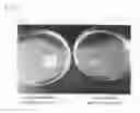Fig. 02 - DEGRADABLE COMPOSITE MATERIAL CONTAINING CHITIN OR CHITOSAN