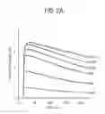 Fig. 07 - Carrier immunoglobulins