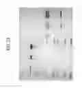 Fig. 43 - Carrier immunoglobulins