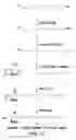 Fig. 02 - Compositions and Methods for Binding Lysophosphatidic Acid