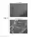 Fig. 02 - Anti-alpha5/beta1 antibody