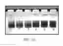 Fig. 11 - Method of producing a lipolytic enzyme