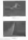 Fig. 05 - Protective coatings for metals