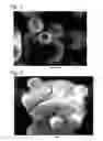 Fig. 02 - BEAD-LIKE HOLLOW PARTICLES, METHOD FOR PRODUCING THE SAME, AND FRICTION MATERIAL USING THE BEAD-LIKE HOLLOW PARTICLES