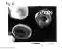 Fig. 03 - BEAD-LIKE HOLLOW PARTICLES, METHOD FOR PRODUCING THE SAME, AND FRICTION MATERIAL USING THE BEAD-LIKE HOLLOW PARTICLES
