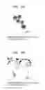 Fig. 08 - Spherical ferrite nanoparticles and method for producing the same