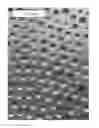 Fig. 01 - Composite metal foam and methods of preparation thereof