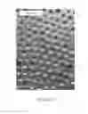 Fig. 03 - Composite metal foam and methods of preparation thereof