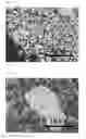 Fig. 04 - POSITIVE ELECTRODE ACTIVE SUBSTANCE FOR NON-AQUEOUS ELECTROLYTE SECONDARY BATTERIES, AND NON-AQUEOUS ELECTROLYTE SECONDARY BATTERY