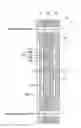 Fig. 01 - Fuel cell stack