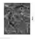Fig. 13 - METHOD FOR PRODUCING STRONGLY ACIDIC ZIRCONIUM PARTICLES, PROTON CONDUCTING MATERIAL, METHOD FOR PRODUCING PROTON CONDUCTING MEMBRANE, PROTON CONDUCTING MEMBRANE, ELECTRODE FOR FUEL CELL, MEMBRANE ELECTRODE ASSEMBLY, FUEL CELL