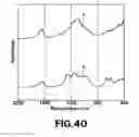 Fig. 35 - METHOD FOR PRODUCING STRONGLY ACIDIC ZIRCONIUM PARTICLES, PROTON CONDUCTING MATERIAL, METHOD FOR PRODUCING PROTON CONDUCTING MEMBRANE, PROTON CONDUCTING MEMBRANE, ELECTRODE FOR FUEL CELL, MEMBRANE ELECTRODE ASSEMBLY, FUEL CELL
