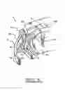 Fig. 06 - Orthodontic appliance