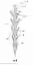 Fig. 06 - Endodontic instrument and method