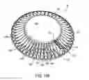 Fig. 33 - Iris Control System for Conducting the Identification of Bacteria in Biological Samples