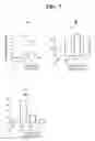 Fig. 07 - Multicellular organotypic model of human intestinal mucosa