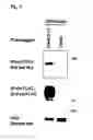 Fig. 04 - METHOD OF REGENERATING  ELASTIC FIBER AND SCREENING METHOD